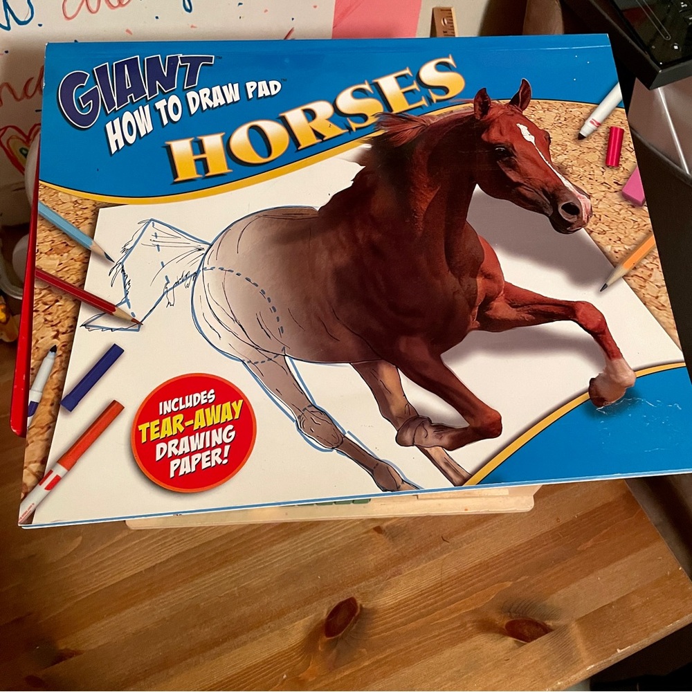 Learn to draw Horses book- see description